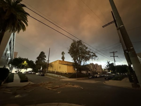 Smoke covers the sky throughout Los Angeles.
Location: West Coast University, 590 N Vermont Ave, Los Angeles, CA 90004
Date:  January 8, 2025
Time: 7:04 am