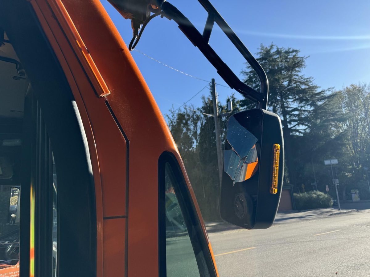 Tree damage to the mirror of the bus.